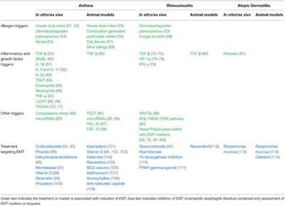 Epithelial-Mesenchymal Transition in Atopy: A Mini-Review